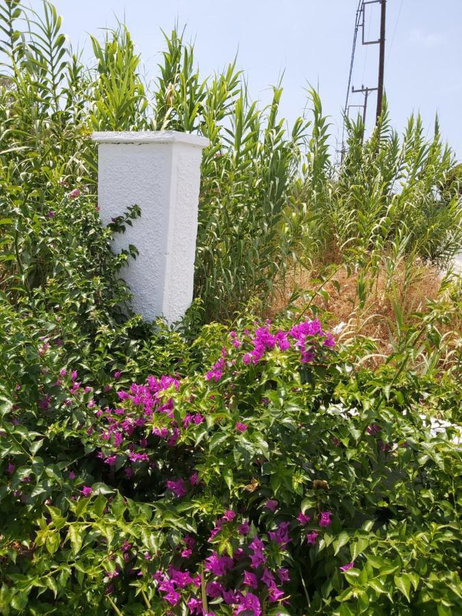 Holiday home Tower Traditional Pool Kremasti (Rhodes)