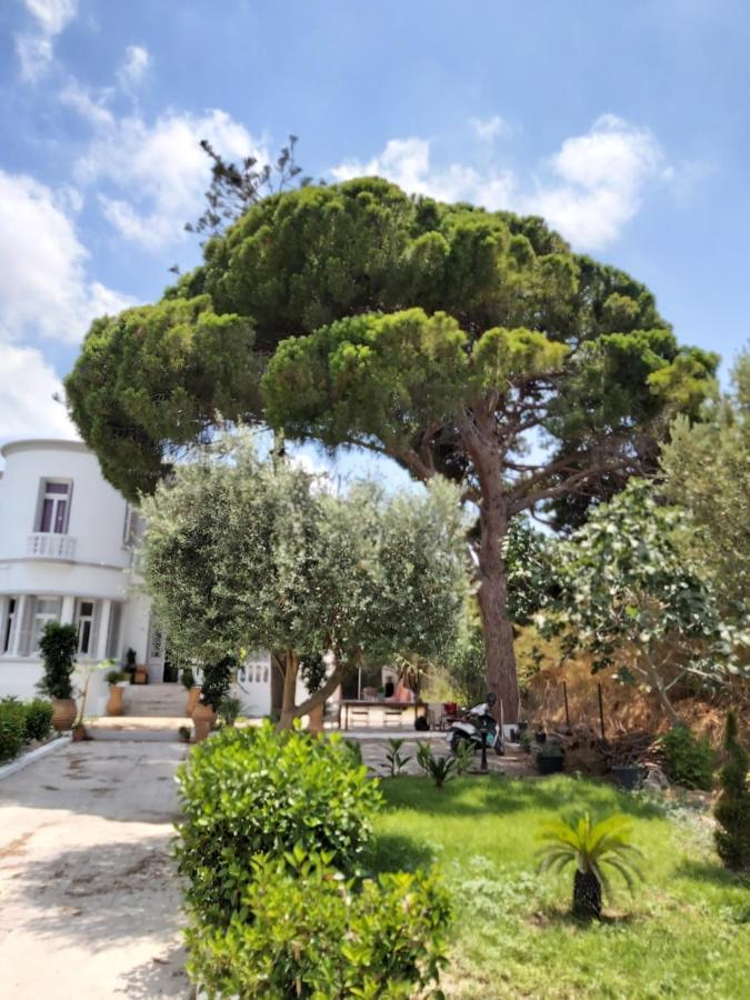 Vakantiehuis Tower Traditional Pool Kremastí